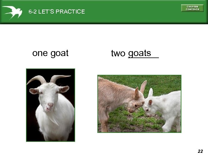 6 -2 LET’S PRACTICE one goats two ______ 22 