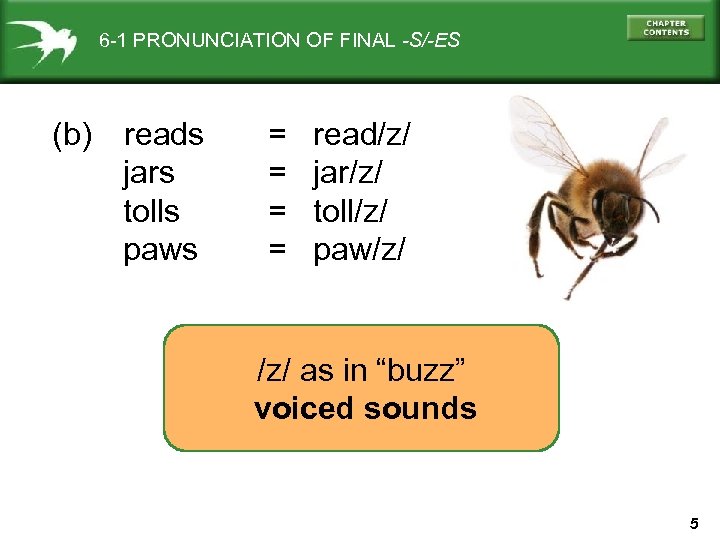 6 -1 PRONUNCIATION OF FINAL -S/-ES (b) reads jars tolls paws = = read/z/