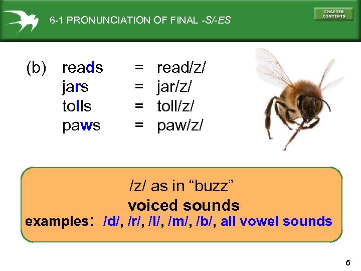 6 -1 PRONUNCIATION OF FINAL -S/-ES (b) reads jars tolls paws = = read/z/