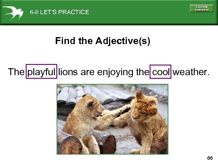 6 -8 LET’S PRACTICE Find the Adjective(s) The playful lions are enjoying the cool