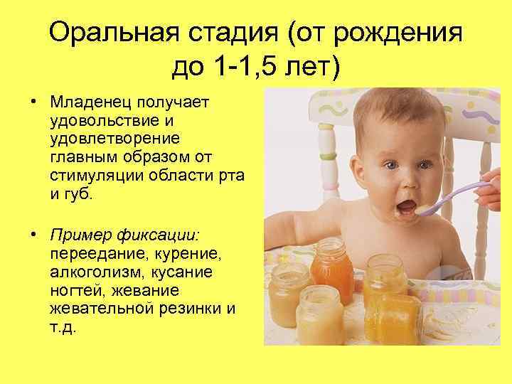 Оральная стадия (от рождения до 1 -1, 5 лет) • Младенец получает удовольствие и