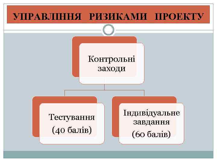 УПРАВЛІННЯ РИЗИКАМИ ПРОЕКТУ Контрольні заходи Тестування (40 балів) Індивідуальне завдання (60 балів) 