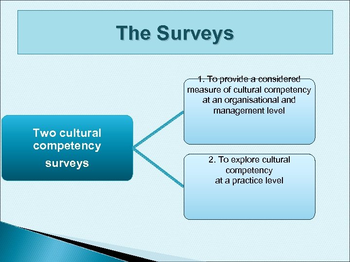 The Surveys 1. To provide a considered measure of cultural competency at an organisational