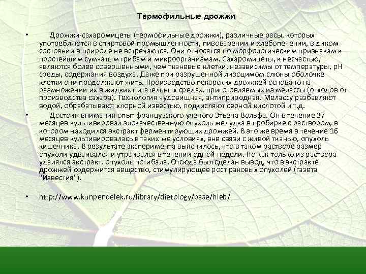 Термофильные дрожжи. Дрожжи хлебопекарные термофильные. Состав термофильных дрожжей и вред. Вред термофильных дрожжей.