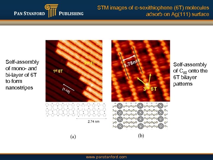 STM images of α-sexithiophene (6 T) molecules adsorb on Ag(111) surface Self-assembly of mono-