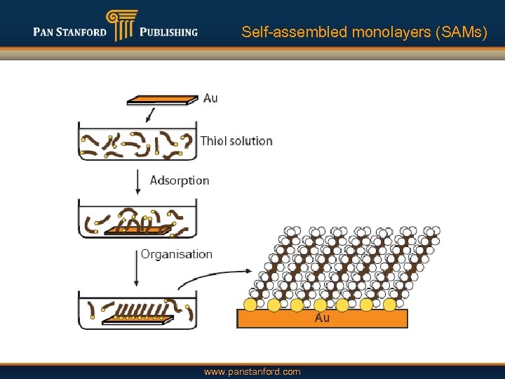 Self-assembled monolayers (SAMs) www. panstanford. com 