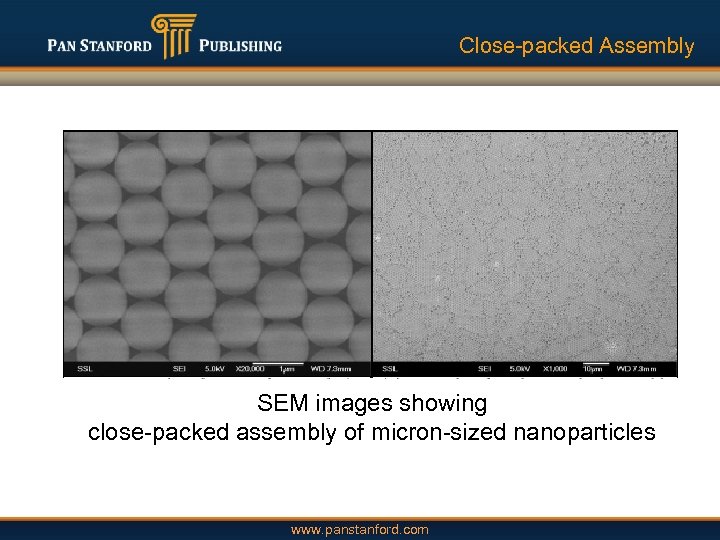 Close-packed Assembly SEM images showing close-packed assembly of micron-sized nanoparticles www. panstanford. com 