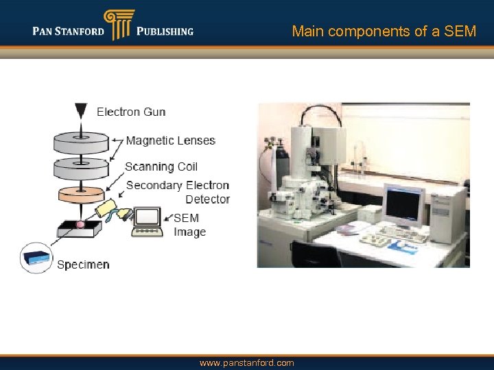 Main components of a SEM www. panstanford. com 