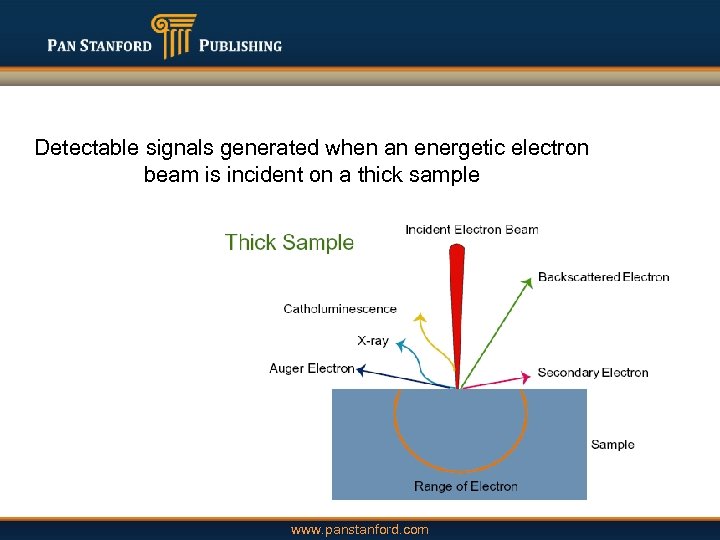 Detectable signals generated when an energetic electron beam is incident on a thick sample