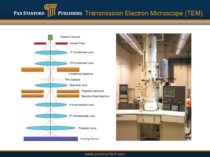 Transmission Electron Microscope (TEM) www. panstanford. com 