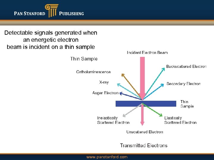 Detectable signals generated when an energetic electron beam is incident on a thin sample