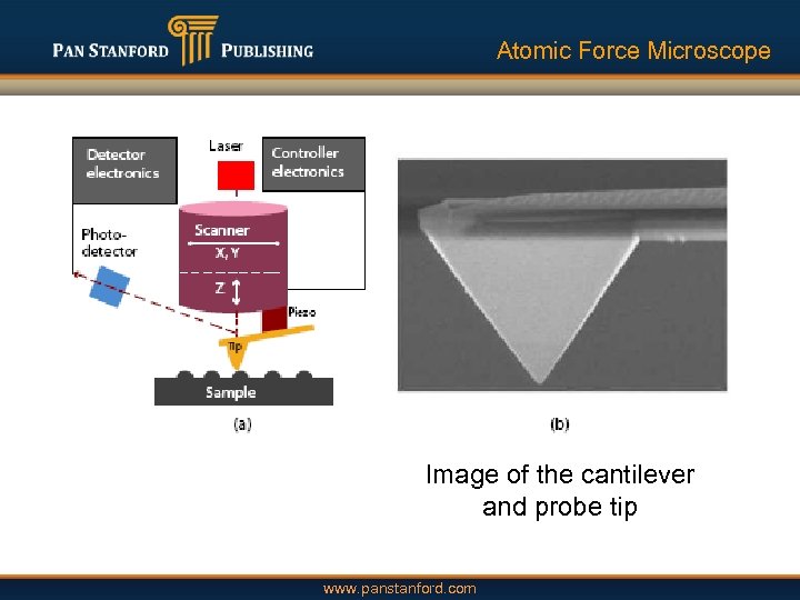 Atomic Force Microscope Image of the cantilever and probe tip www. panstanford. com 