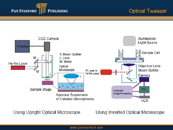 Optical Tweezer www. panstanford. com 