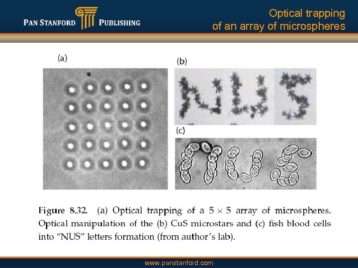 Optical trapping of an array of microspheres www. panstanford. com 
