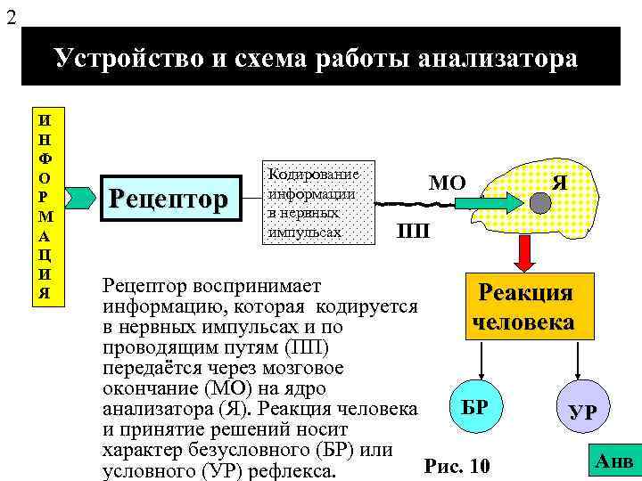 2 Устройство и схема работы анализатора И Н Ф О Р М А Ц