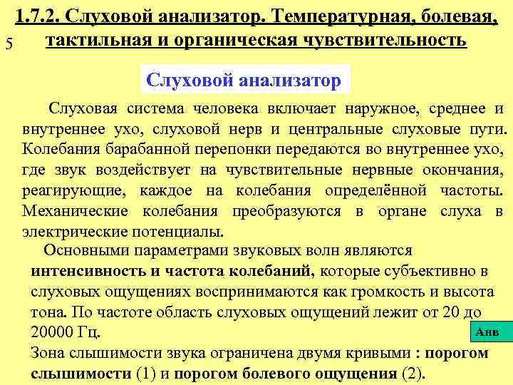 1. 7. 2. Слуховой анализатор. Температурная, болевая, тактильная и органическая чувствительность 5 Слуховой анализатор