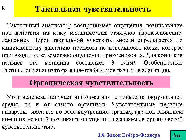 8 Тактильная чувствительность Тактильный анализатор воспринимает ощущения, возникающие при действии на кожу механических стимулов