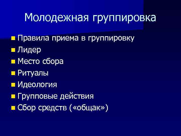 Молодежная группировка n Правила приема в группировку n Лидер n Место сбора n Ритуалы