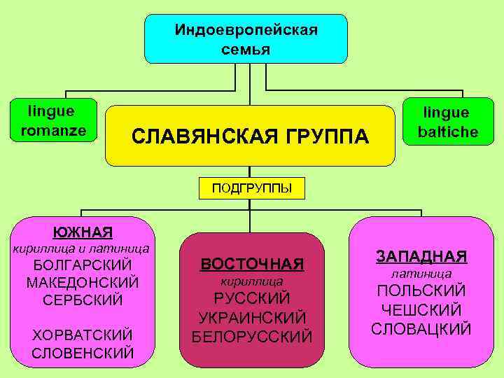 Индоевропейская семья lingue romanze СЛАВЯНСКАЯ ГРУППА lingue baltiche ПОДГРУППЫ ЮЖНАЯ кириллица и латиница БОЛГАРСКИЙ