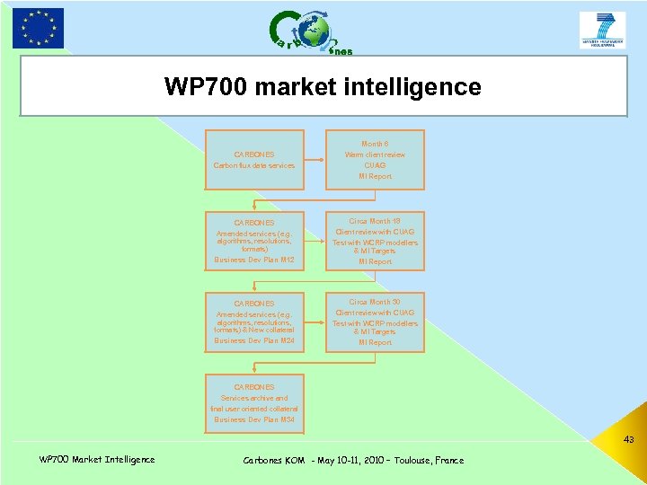 WP 700 market intelligence TITLE CARBONES Month 6 Warm client review Carbon flux data