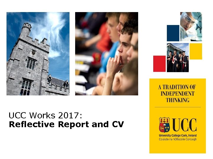 UCC Works 2017: Reflective Report and CV 