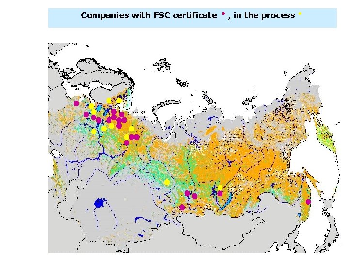 Companies with FSC certificate , in the process 