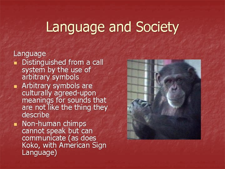 Language and Society Language n Distinguished from a call system by the use of