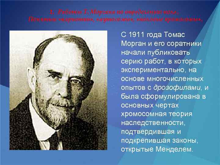 1. Работы Т. Моргана по определению пола. Понятия: «кариотип» , «аутосомы» , «половые хромосомы»