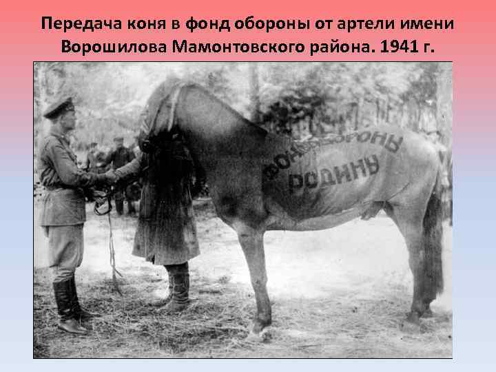 Передача коня в фонд обороны от артели имени Ворошилова Мамонтовского района. 1941 г. 
