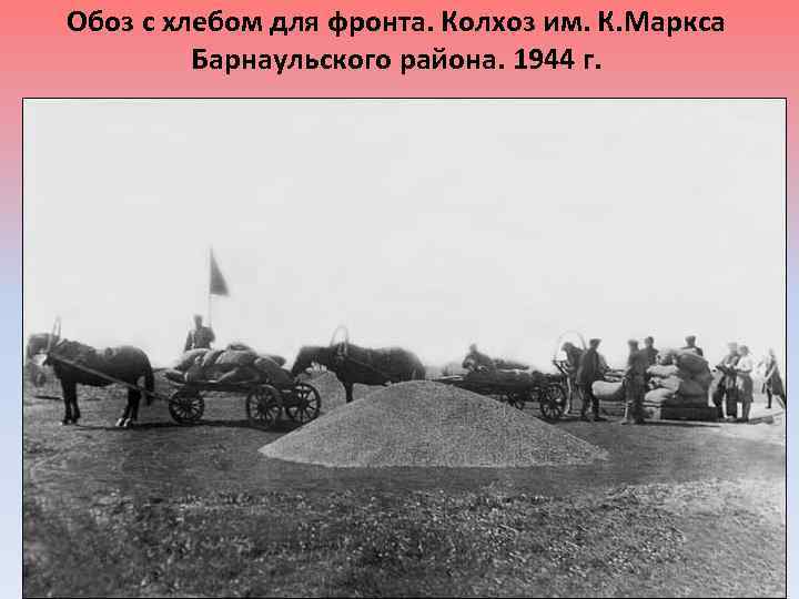 Обоз с хлебом для фронта. Колхоз им. К. Маркса Барнаульского района. 1944 г. 