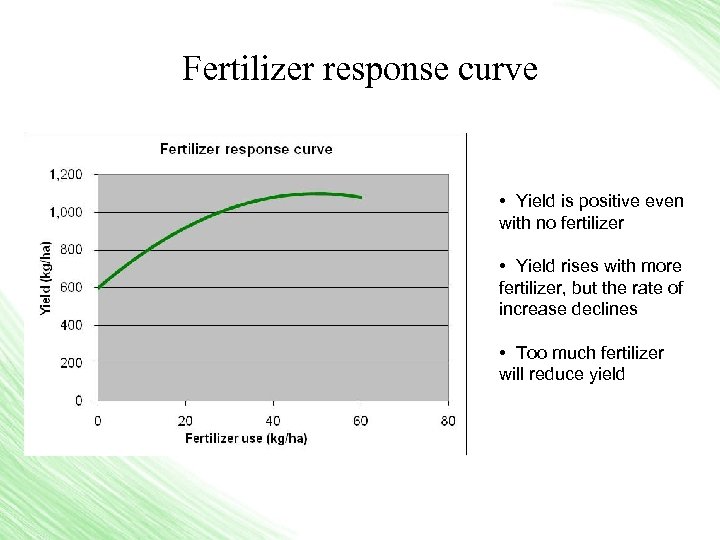 Fertilizer response curve • Yield is positive even with no fertilizer • Yield rises