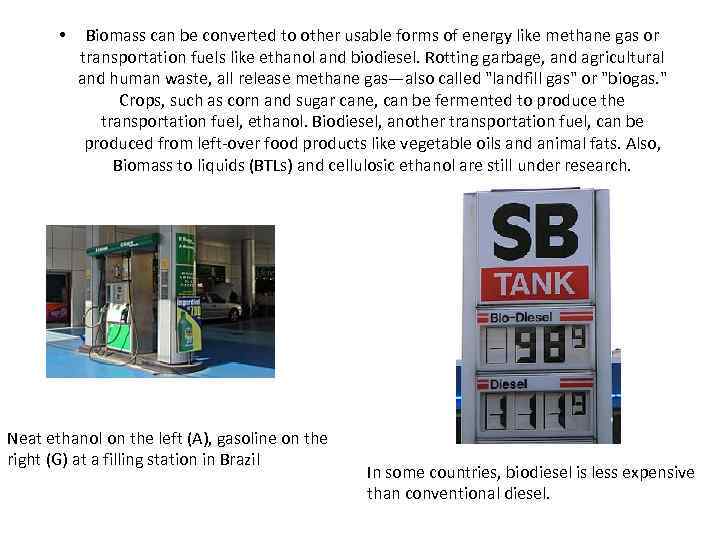  • Biomass can be converted to other usable forms of energy like methane
