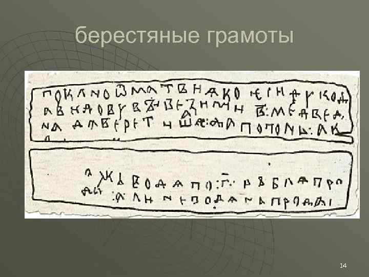 берестяные грамоты 14 