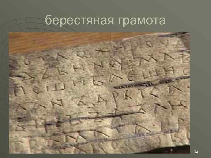 берестяная грамота 15 