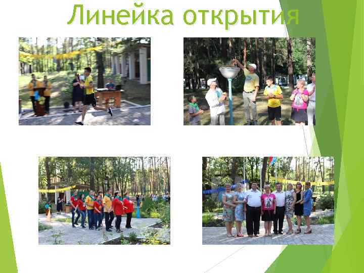 Линейка открытия 