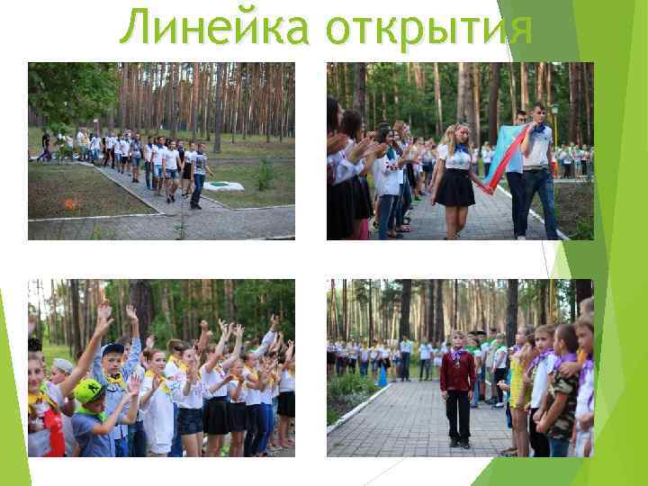 Линейка открытия 