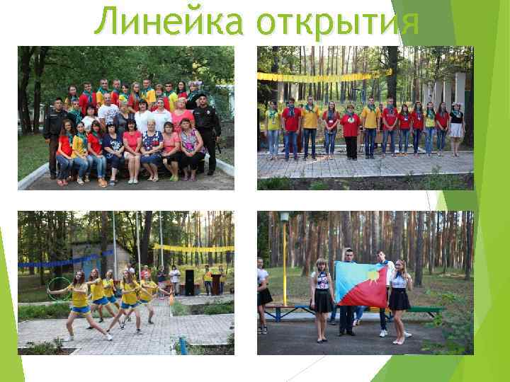 Линейка открытия 