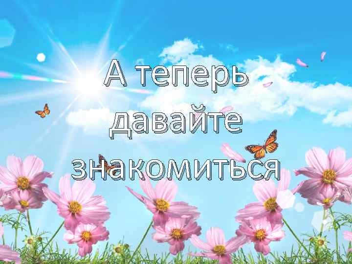 А теперь давайте знакомиться 