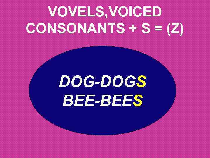 VOVELS, VOICED CONSONANTS + S = (Z) DOG-DOGS BEE-BEES 