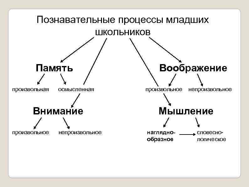 Заполните схемы восприятие объективное память представление память воображение