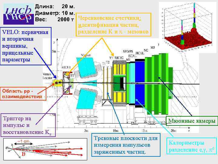 Длина: 20 м. Диаметр: 10 м. Вес: 2000 т Черенковские счетчики: VELO: первичная и