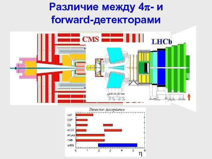 Различие между 4 - и forward-детекторами CMS LHCb 