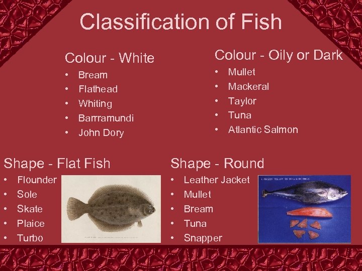 Classification of Fish Colour - White Colour - Oily or Dark • • •