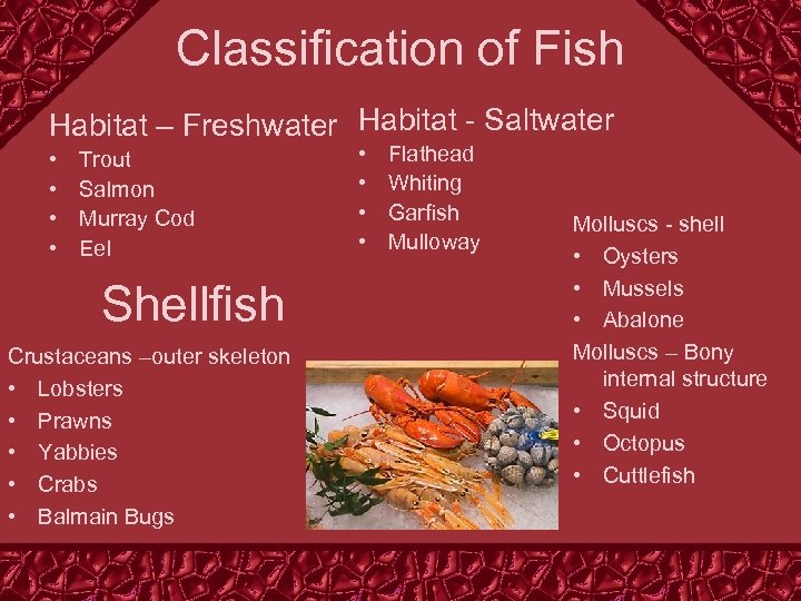 Classification of Fish Habitat – Freshwater Habitat - Saltwater • • Trout Salmon Murray