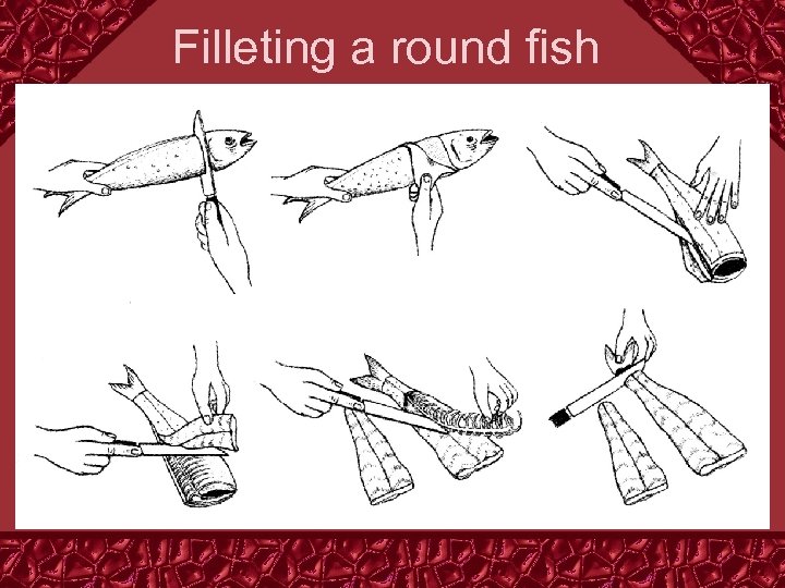 Filleting a round fish 