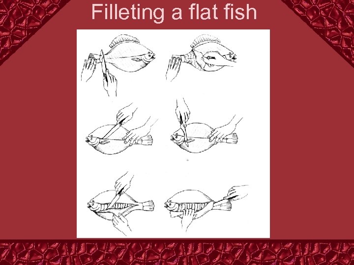 Filleting a flat fish 