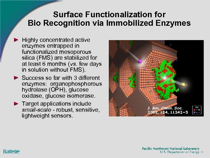 Surface Functionalization for Bio Recognition via Immobilized Enzymes Highly concentrated active enzymes entrapped in