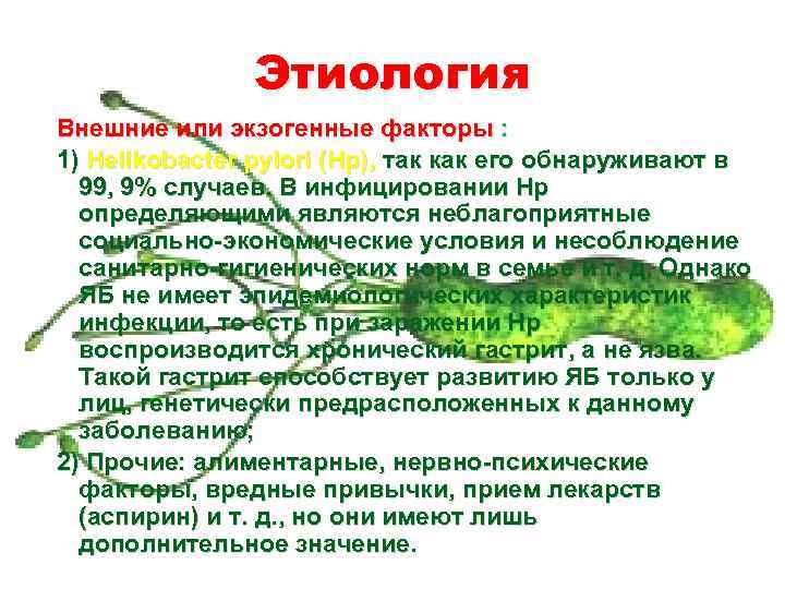 Этиология Внешние или экзогенные факторы : 1) Helikobacter pylori (Hp), так как его обнаруживают