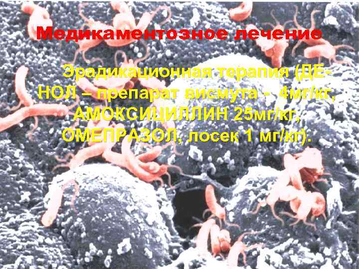 Медикаментозное лечение Эрадикационная терапия (ДЕНОЛ – препарат висмута - 4 мг/кг, АМОКСИЦИЛЛИН 25 мг/кг,