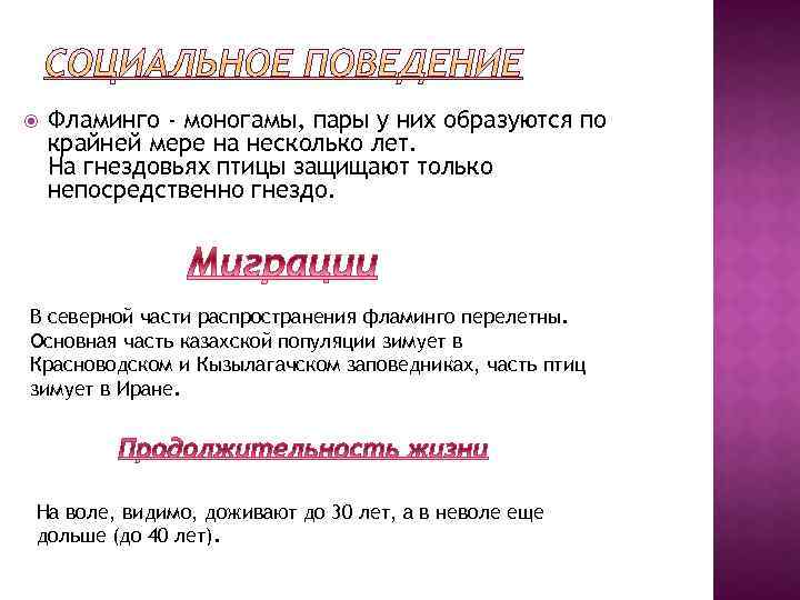  Фламинго - моногамы, пары у них образуются по крайней мере на несколько лет.